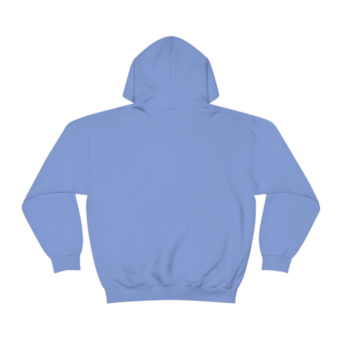 Space Coast Brands Unisex Heavy Blend™ Hooded Sweatshirt